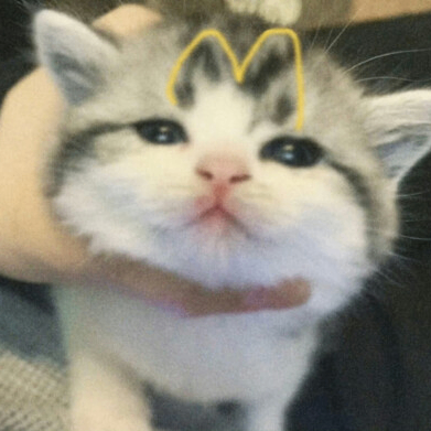 lunare (lunare.lens) Lens social identity (.lens handle) PFP