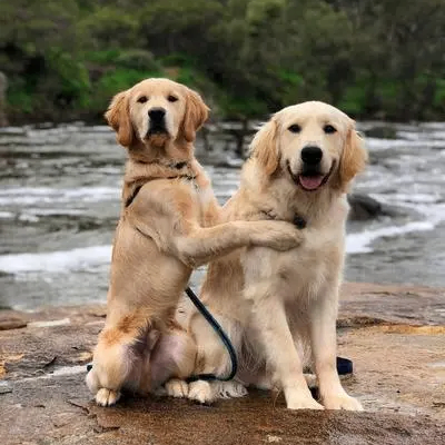 Sunrain (xoinace.lens) Lens social identity (.lens handle) PFP