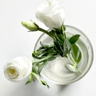 freshze (bigtop.lens) Lens social identity (.lens handle) PFP