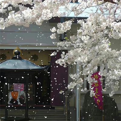 Edum (ednunm.lens) Lens social identity (.lens handle) PFP