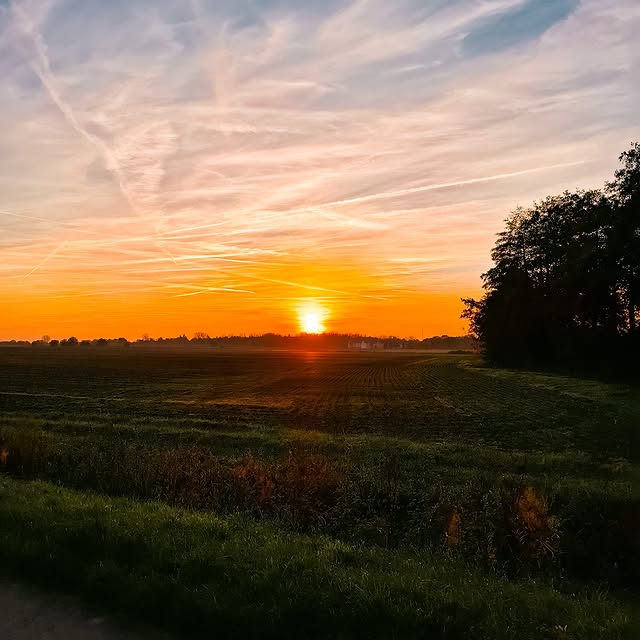 Sophia Queston (scatterbeams.lens) Lens social identity (.lens handle) PFP