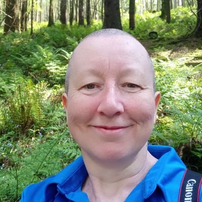 LesleyannIrvin1 (lesleyannirvin1.lens) Lens social identity (.lens handle) PFP