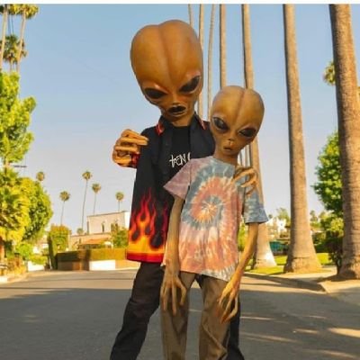 Itspal_mer (itspalmer.lens) Lens social identity (.lens handle) PFP