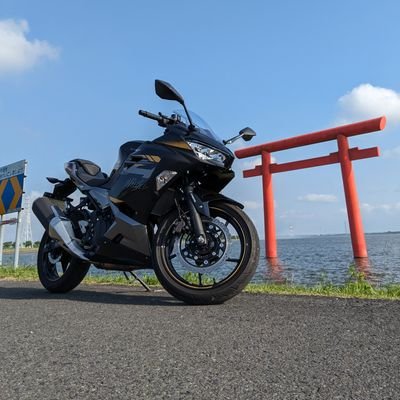 hachi04252023 (hachi04252023.lens) Lens social identity (.lens handle) PFP