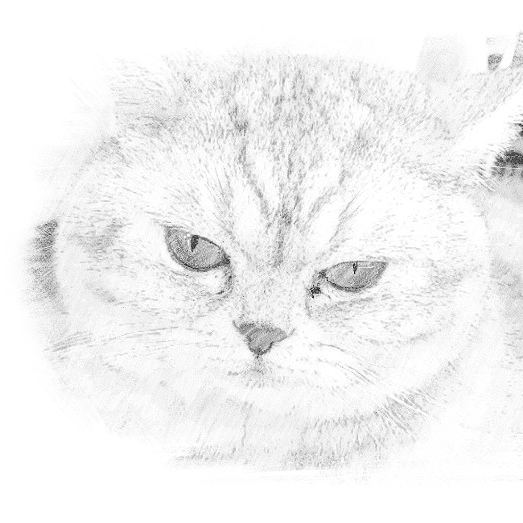 Helen (elenlenmr.lens) Lens social identity (.lens handle) PFP