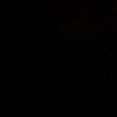 Indlg08 (indlg08.lens) Lens social identity (.lens handle) PFP