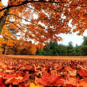 John Jenkin(s) (hhhhhy.lens) Lens social identity (.lens handle) PFP