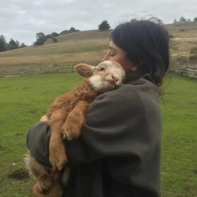 Dominic (dominicc.lens) Lens social identity (.lens handle) PFP