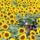 Lens lover (salihdarbeci.lens) Lens social identity (.lens handle) PFP