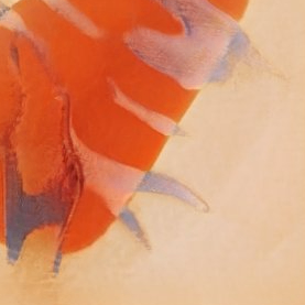 kala (13112.lens) Lens social identity (.lens handle) PFP