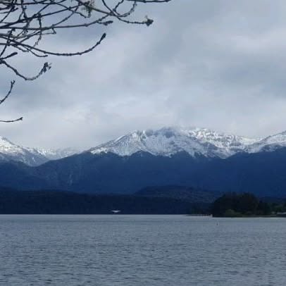 Serenity Flows (moonlitdreamer.lens) Lens social identity (.lens handle) PFP