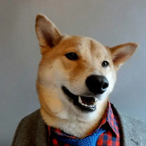 William Bellamy (dddddz.lens) Lens social identity (.lens handle) PFP