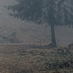 simge (simge.lens) Lens social identity (.lens handle) PFP