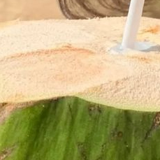 AveryVictoria (wyattbrooks.lens) Lens social identity (.lens handle) PFP