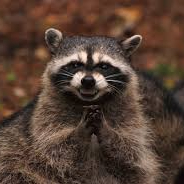 Fedya (ferds.lens) Lens social identity (.lens handle) PFP