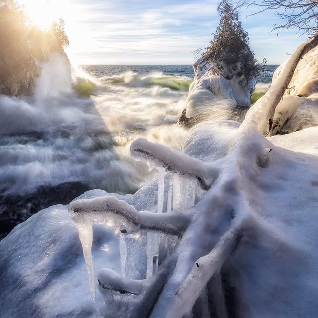 Eldora Mistral (naukri.lens) Lens social identity (.lens handle) PFP