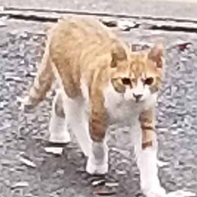 Bj77OMBsjMhFVxI (bj77ombsjmhfvxi.lens) Lens social identity (.lens handle) PFP