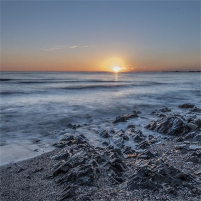 Cecillia (cecillia.lens) Lens social identity (.lens handle) PFP