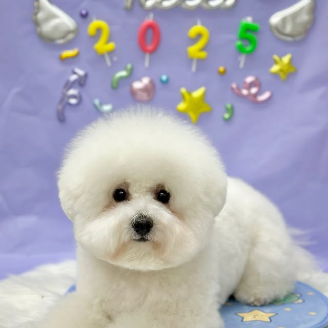 Eliora Katz (mobitv.lens) Lens social identity (.lens handle) PFP