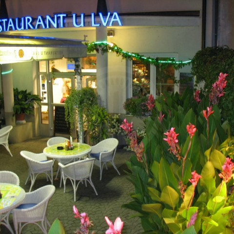 Revolution Spark (segpaycs.lens) Lens social identity (.lens handle) PFP