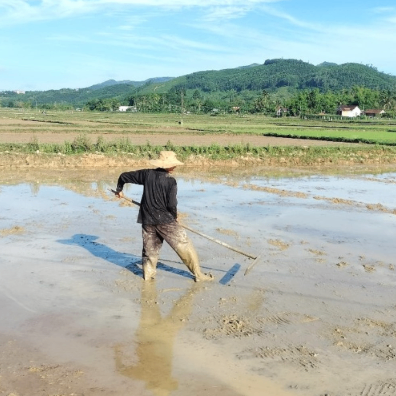 quocluong (quocluong.lens) Lens social identity (.lens handle) PFP