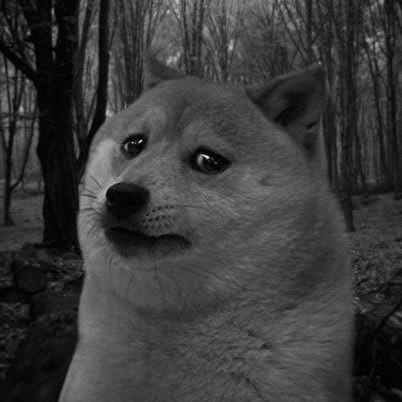 redguy.lens Lens social identity (.lens handle) PFP