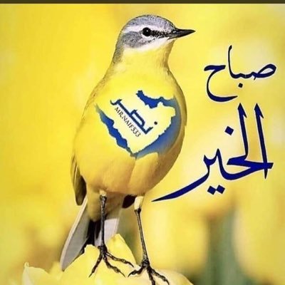 prvlUwSm4u4SOUI (91922.lens) Lens social identity (.lens handle) PFP