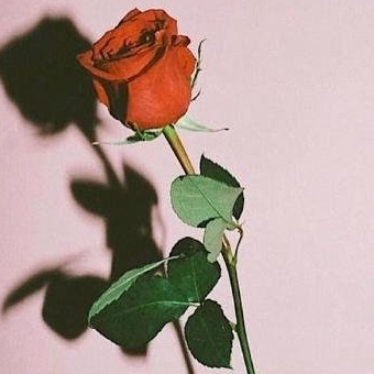 Magee Bunyan (winnid.lens) Lens social identity (.lens handle) PFP