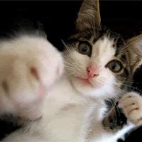 binan (hgjnjij.lens) Lens social identity (.lens handle) PFP