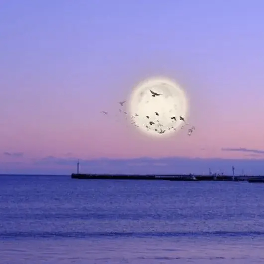 catttt (catttt.lens) Lens social identity (.lens handle) PFP