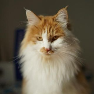 txx (er1ct4n9.lens) Lens social identity (.lens handle) PFP