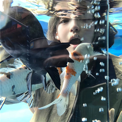 Luminary (luminaryz.lens) Lens social identity (.lens handle) PFP