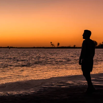 carlos Fernandez (neonninjax.lens) Lens social identity (.lens handle) PFP