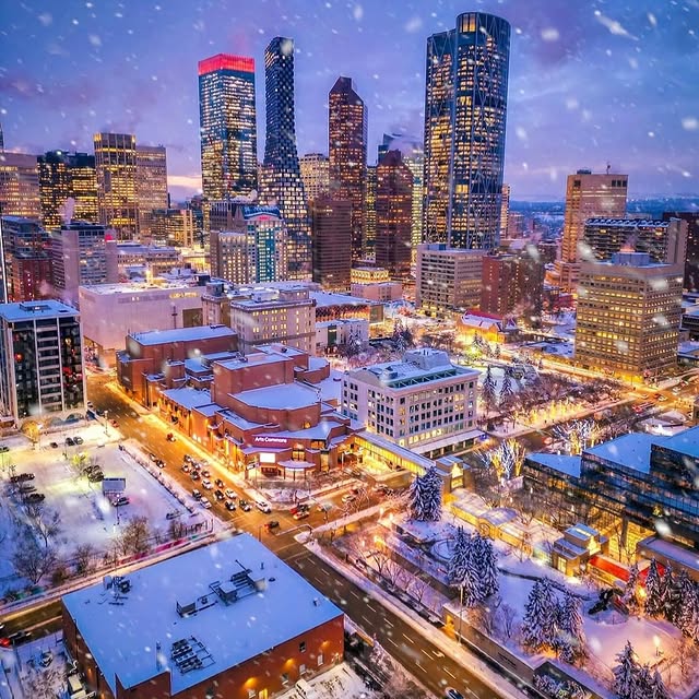 EquaSage Analytics (samdan.lens) Lens social identity (.lens handle) PFP