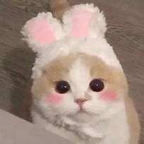 ricorm (goodbooks.lens) Lens social identity (.lens handle) PFP