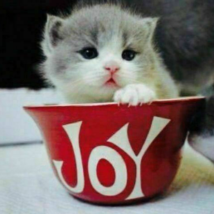 Exodar (11qqq22ooo33www.lens) Lens social identity (.lens handle) PFP