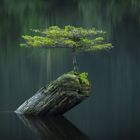 Peterkara (pqsmzo.lens) Lens social identity (.lens handle) PFP