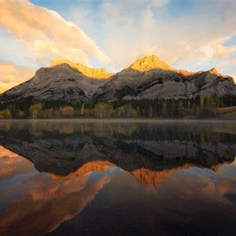 Herbert Dewar (yyyyyn.lens) Lens social identity (.lens handle) PFP