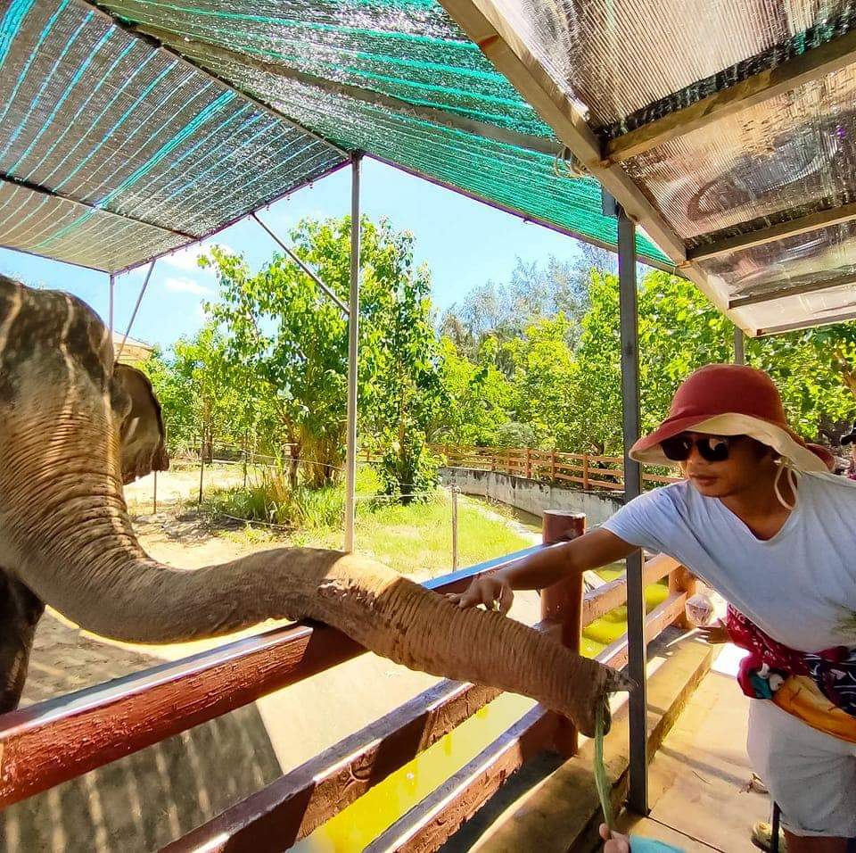 Trần Đình Quang Huy (Chim Chích Bông) (polyhedra.lens) Lens social identity (.lens handle) PFP