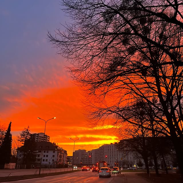 InnoLearn Nexus (clkbid.lens) Lens social identity (.lens handle) PFP