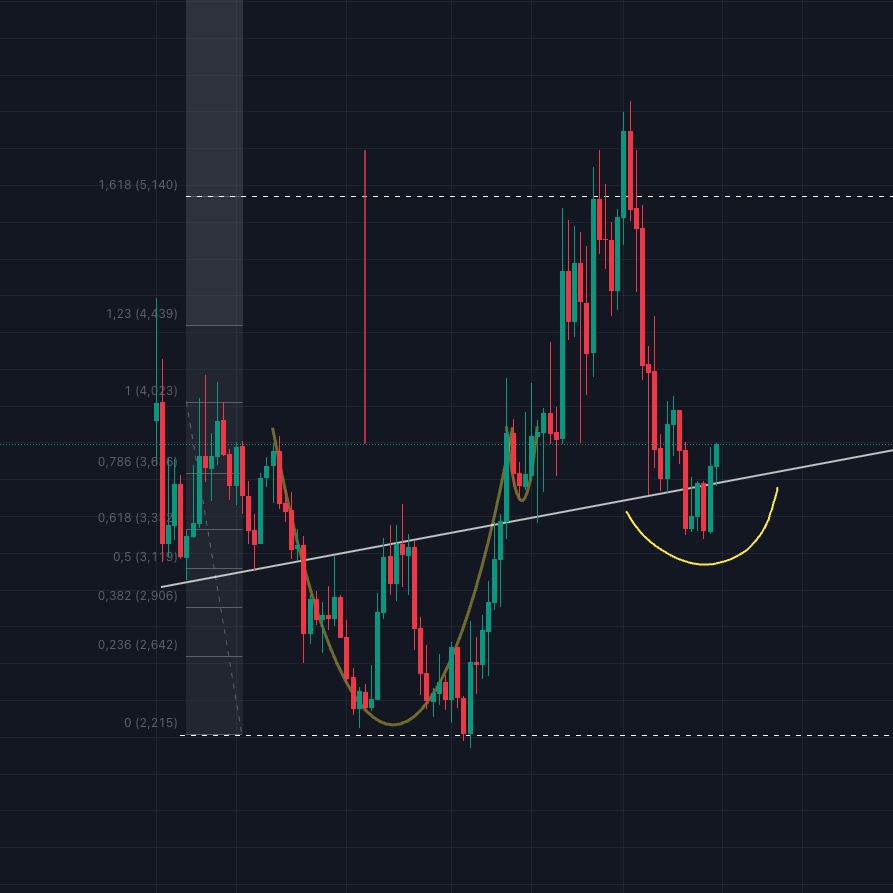 Antonina Rak (antoninarak.lens) Lens social identity (.lens handle) PFP