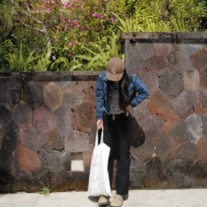 Y (btctimes.lens) Lens social identity (.lens handle) PFP