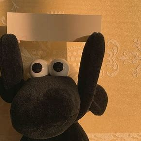 hhgfffhgd (hhgfffhgd.lens) Lens social identity (.lens handle) PFP