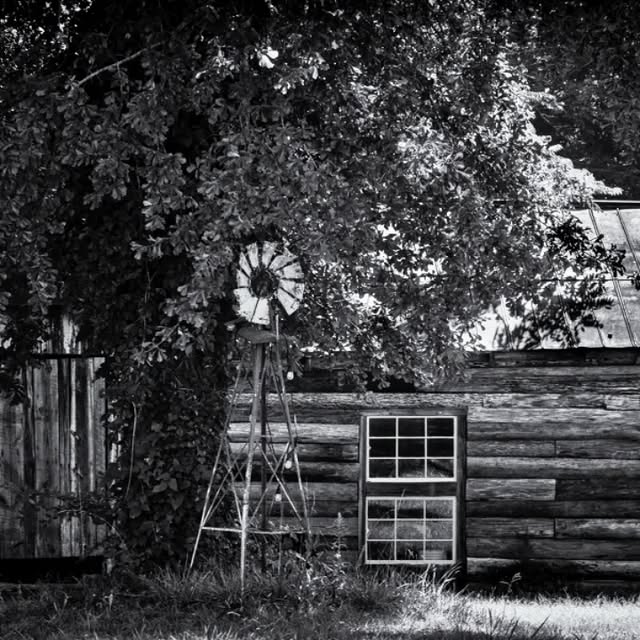 Quantum Innovator (glpals.lens) Lens social identity (.lens handle) PFP