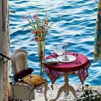 HosaShax17 (28687.lens) Lens social identity (.lens handle) PFP