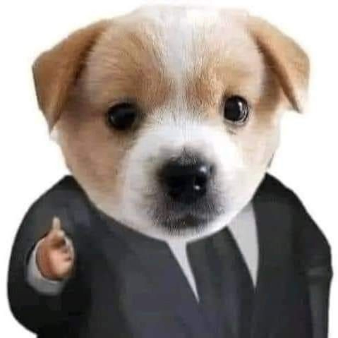 Alyona (dannyall.lens) Lens social identity (.lens handle) PFP