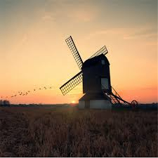 Leslie Evans (leslie51.lens) Lens social identity (.lens handle) PFP