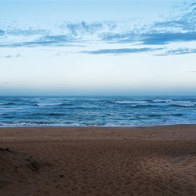 Dharma Whisperer (comenity.lens) Lens social identity (.lens handle) PFP