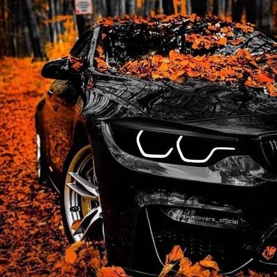 RolandUmana (rolandumana.lens) Lens social identity (.lens handle) PFP