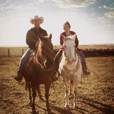 HaunBrad (haunbrad.lens) Lens social identity (.lens handle) PFP